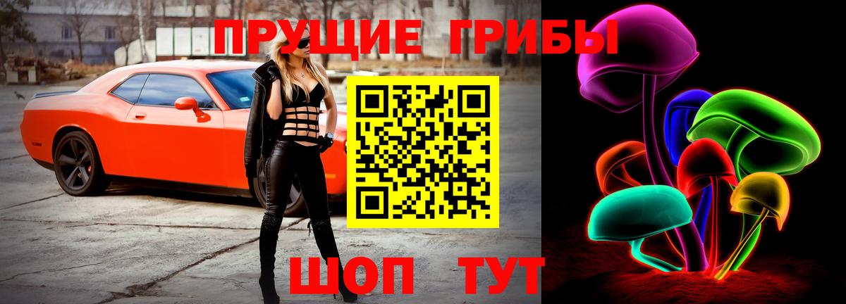 Киров  хочу   Вход с VPN  Псилоцибиновые грибы мухоморы 
